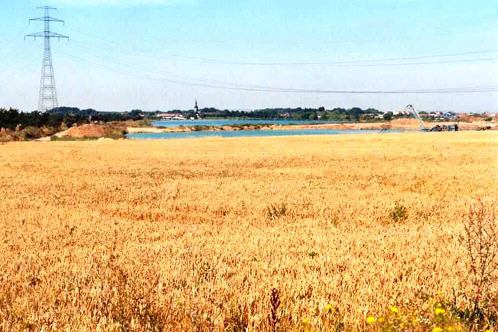 Feld bei Stotternheim