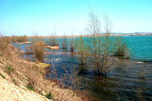 Naturschutzsee: Sulzer See