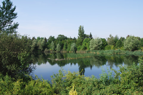 Altabgrabung: Schwanenteich