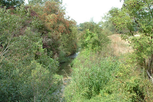 Schmale Gera bei Nöda